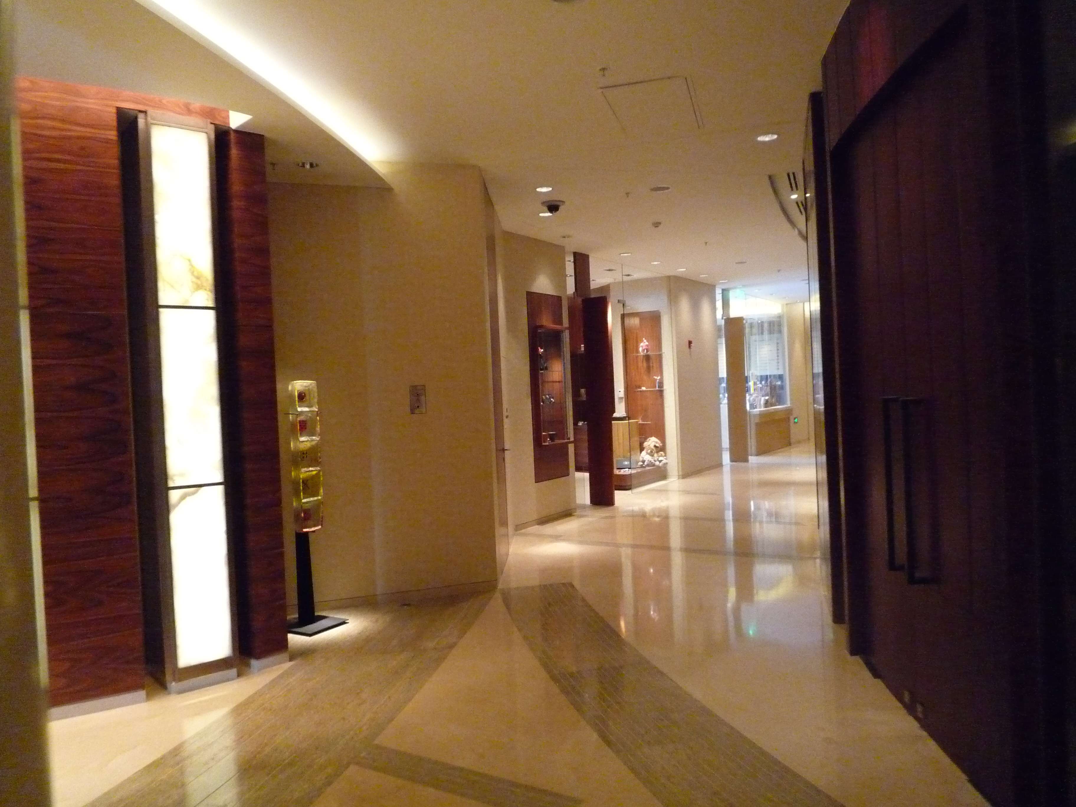 HBA  深圳丽思卡尔顿酒店   -3-11