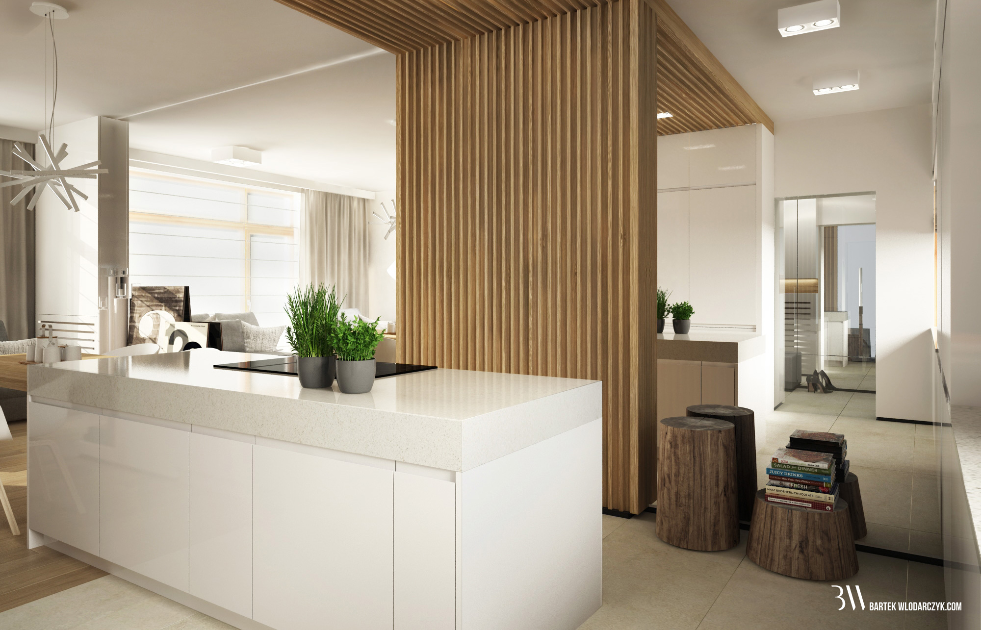 多姆·布乌什昌斯卡街（注：因Dom有房屋、住宅等意思，Bluszczańska可能是人名或地名衍生词，这里结合常见命名习惯推测为街道名，若有更准确背景信息可进一步精准翻译） 丨Bartek Włodarczyk Architekt-10