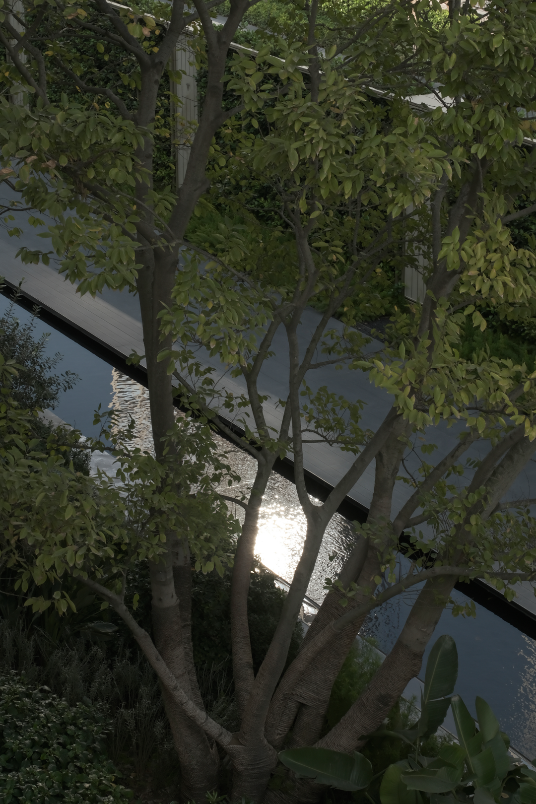 深圳招商·雍境丨中国深圳丨MAXI 美溪景观-9