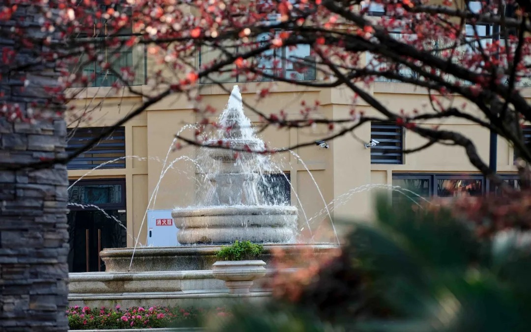 重庆中海·黎香湖别墅区景观丨中国重庆丨伯立森景观-31