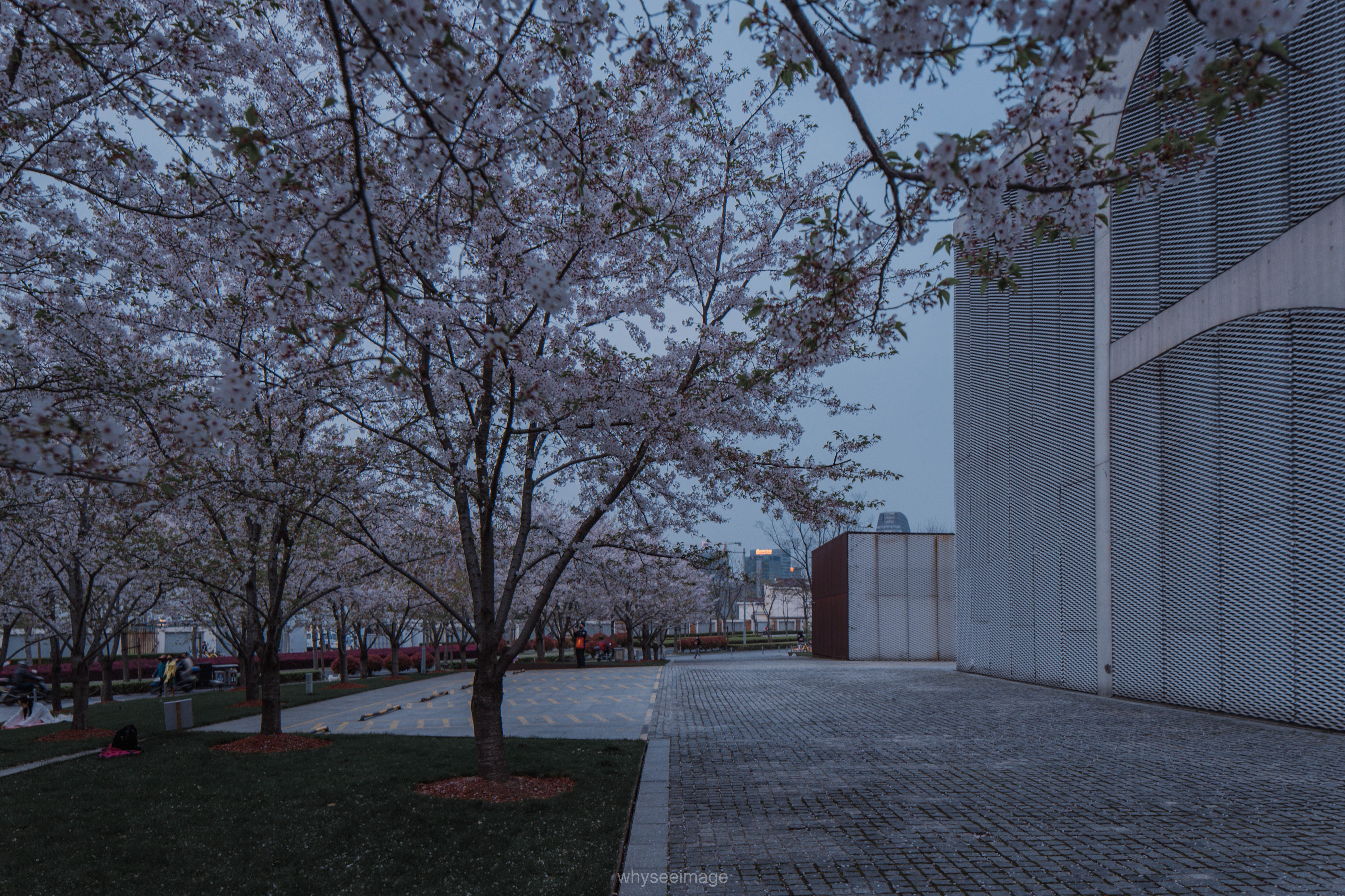 樱花+龙美术馆丨中国上海丨大舍建筑设计工作室-92