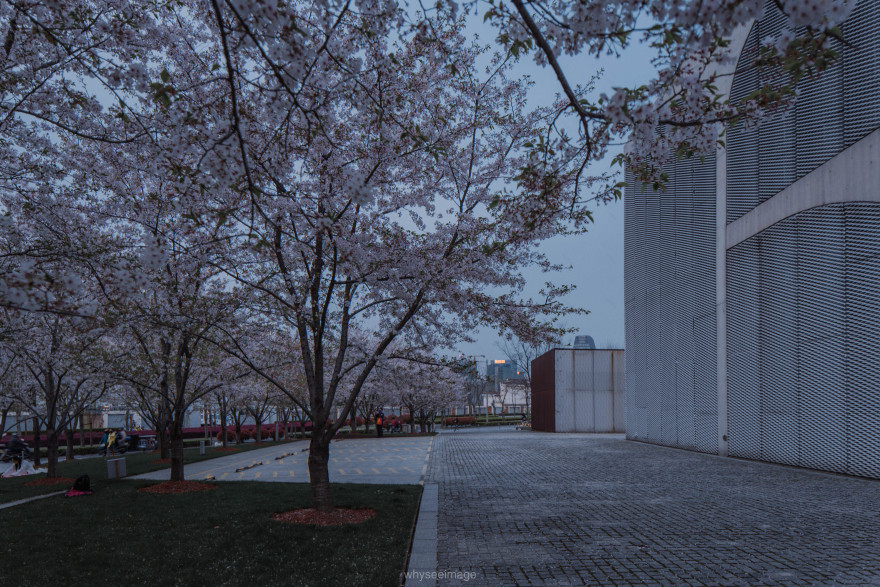 樱花+龙美术馆丨中国上海丨大舍建筑设计工作室-92