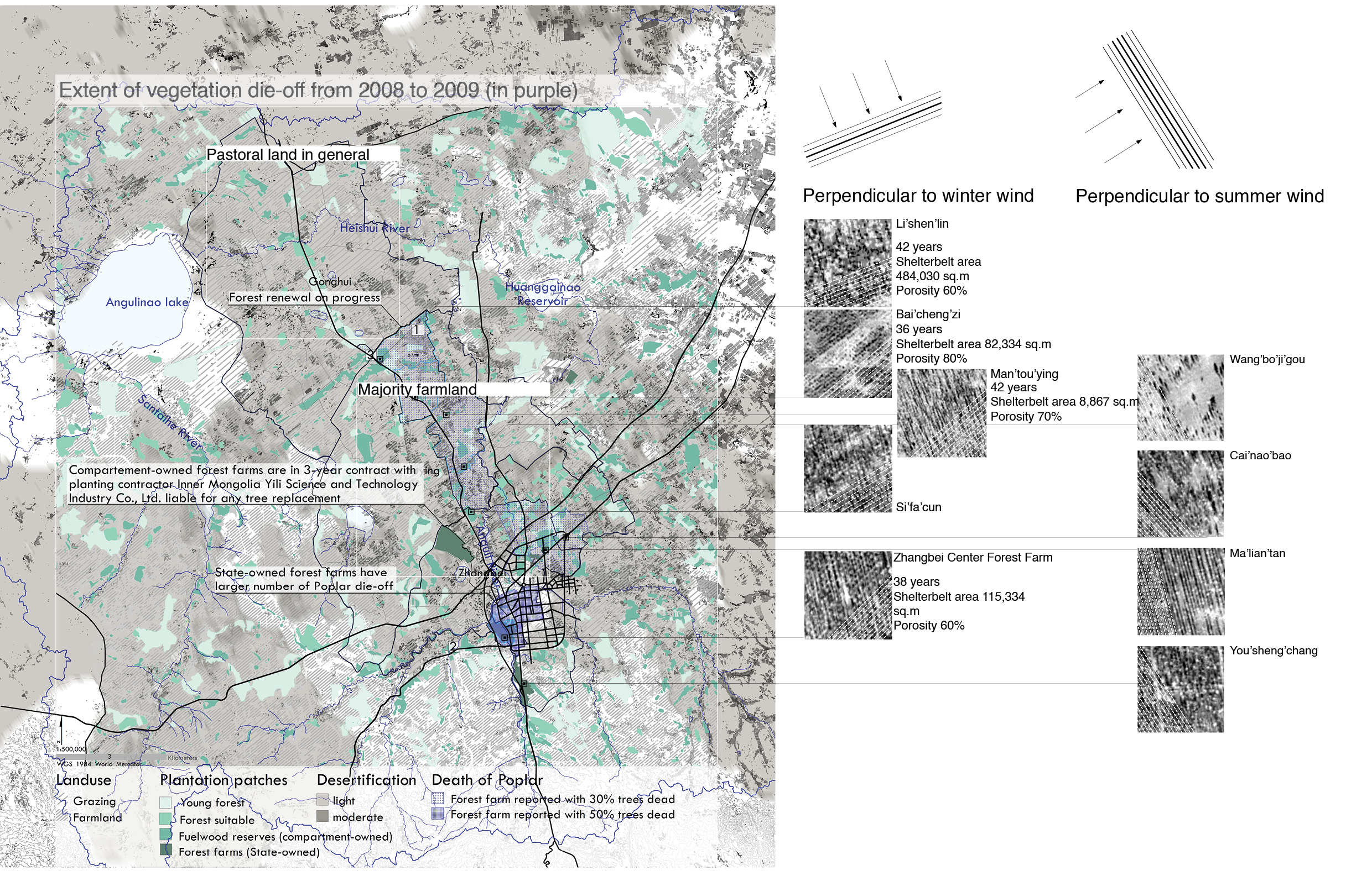 Debate on the 'Green': Shelterbelt Plantation-18