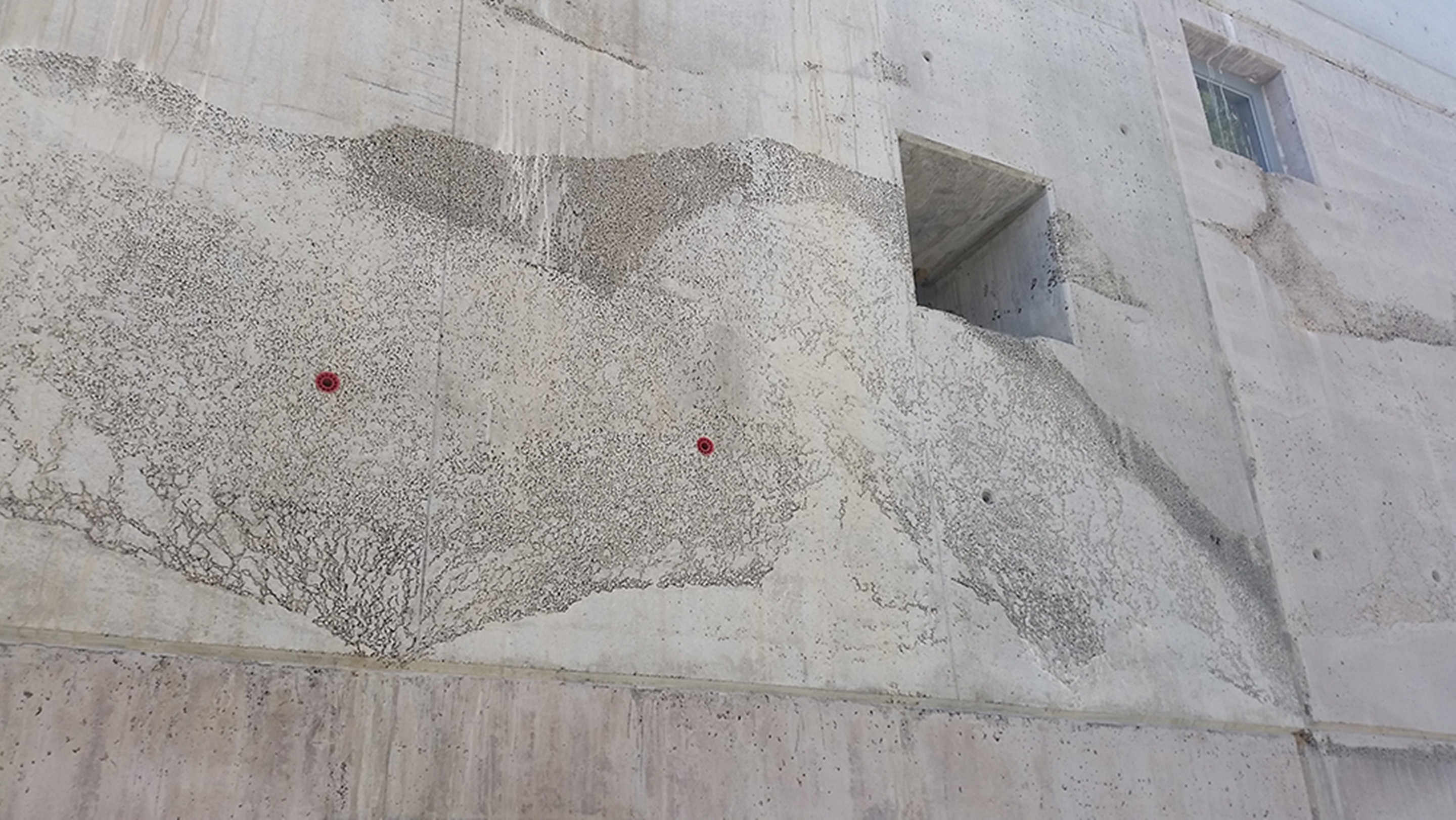 工业风行政大楼 | 原生态、节能与创新实践-7