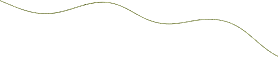 “五一”趣玩｜闲来无事，到荔枝公园喝茶去～-21