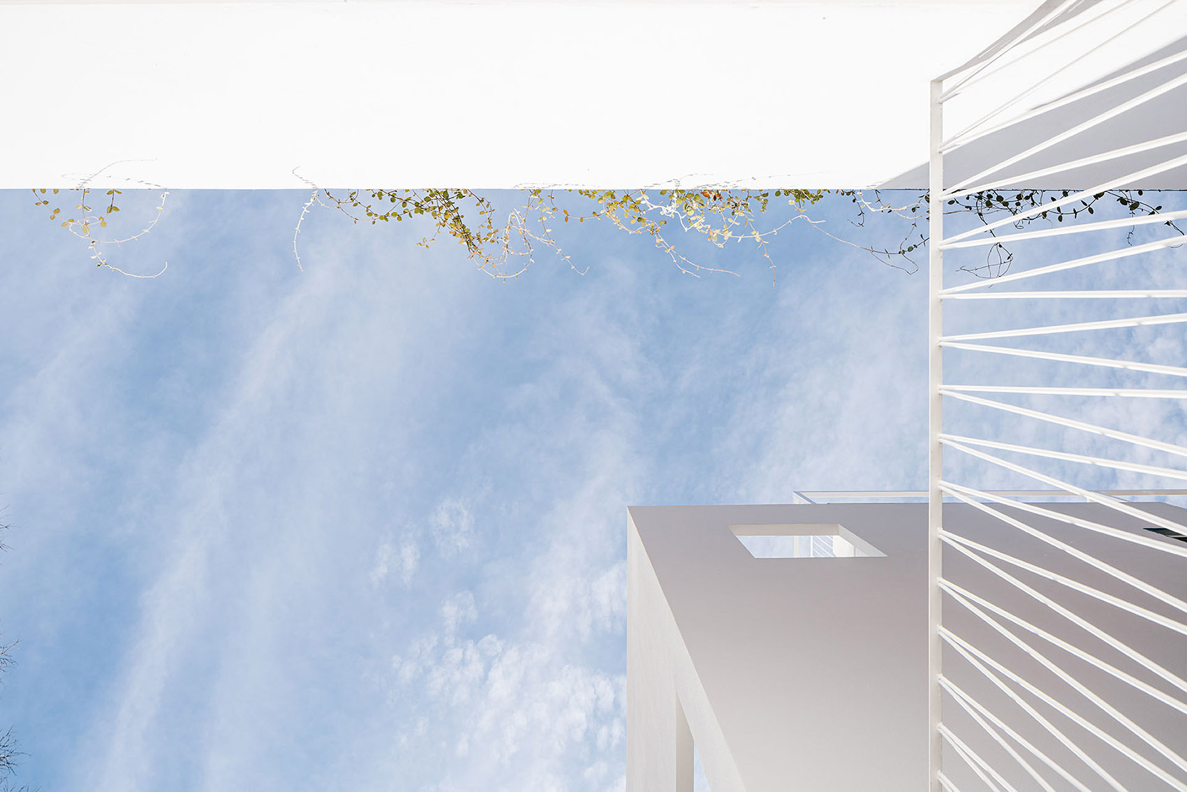 GALGO 住宅丨西班牙马德里丨Murado & Elvira Arquitectos-68