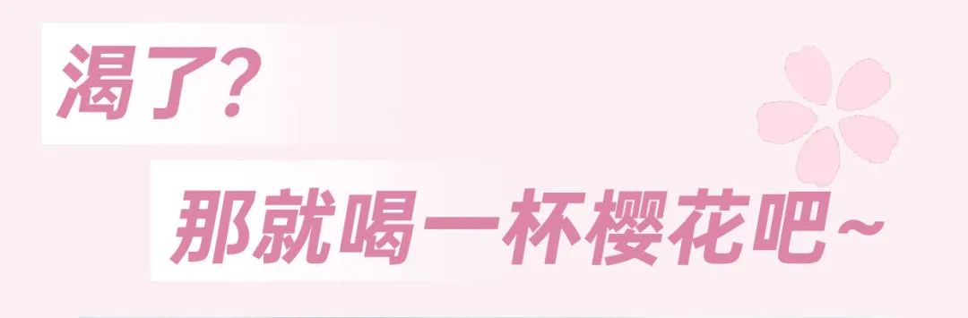 跃入一场樱花盛宴！-5