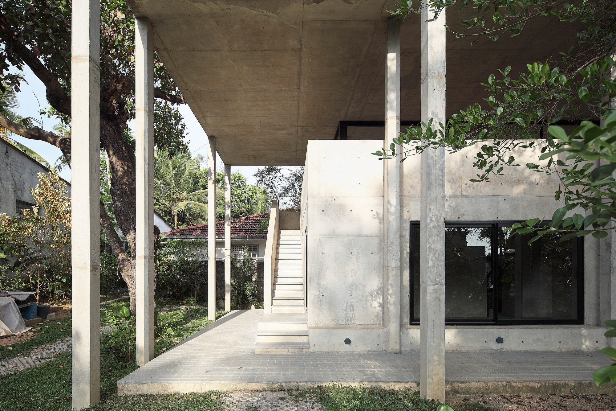 大树小植物屋丨Read Studio-41