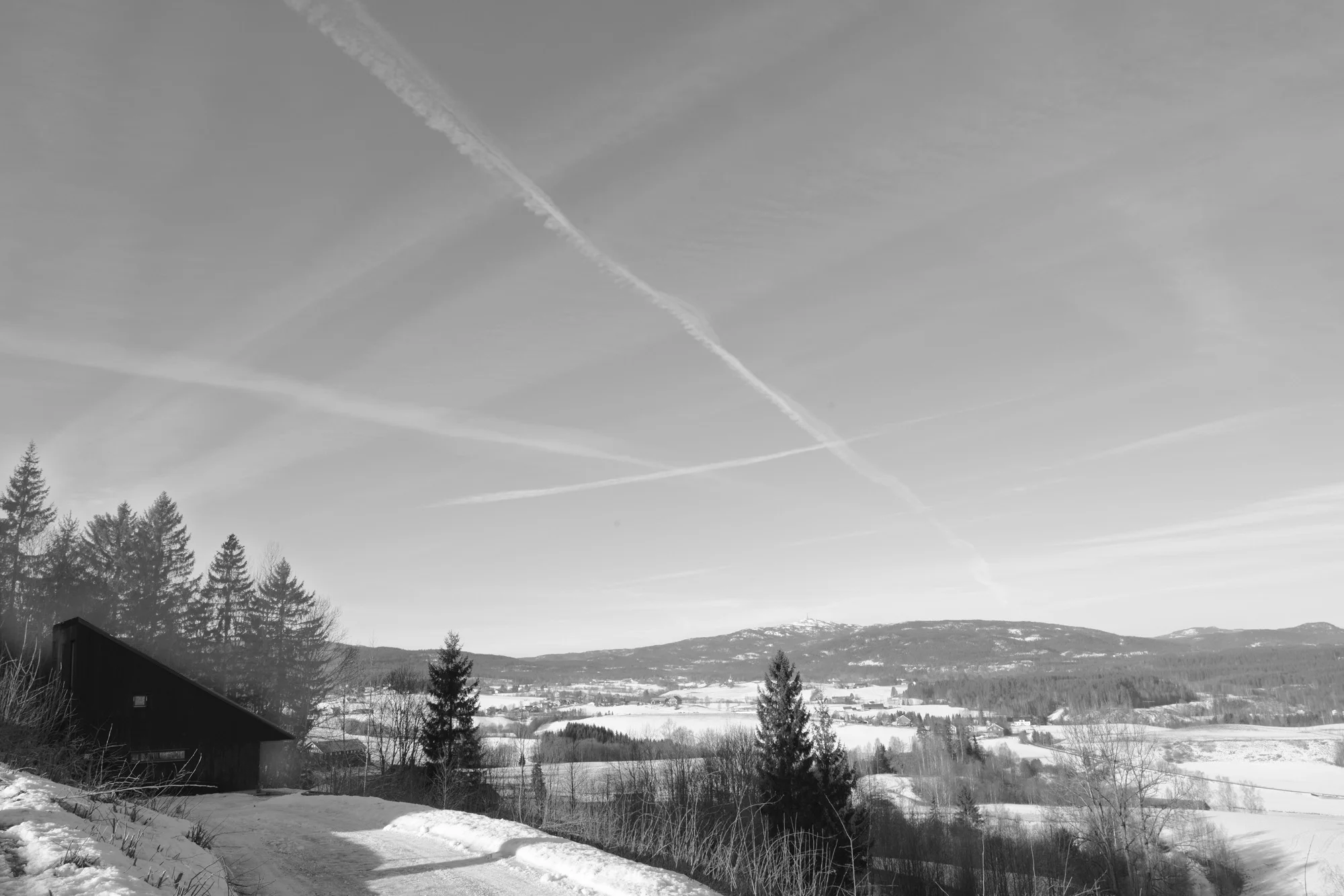 Rogstadåsen住宅丨挪威丨Philip Kvalbein Hauge-8