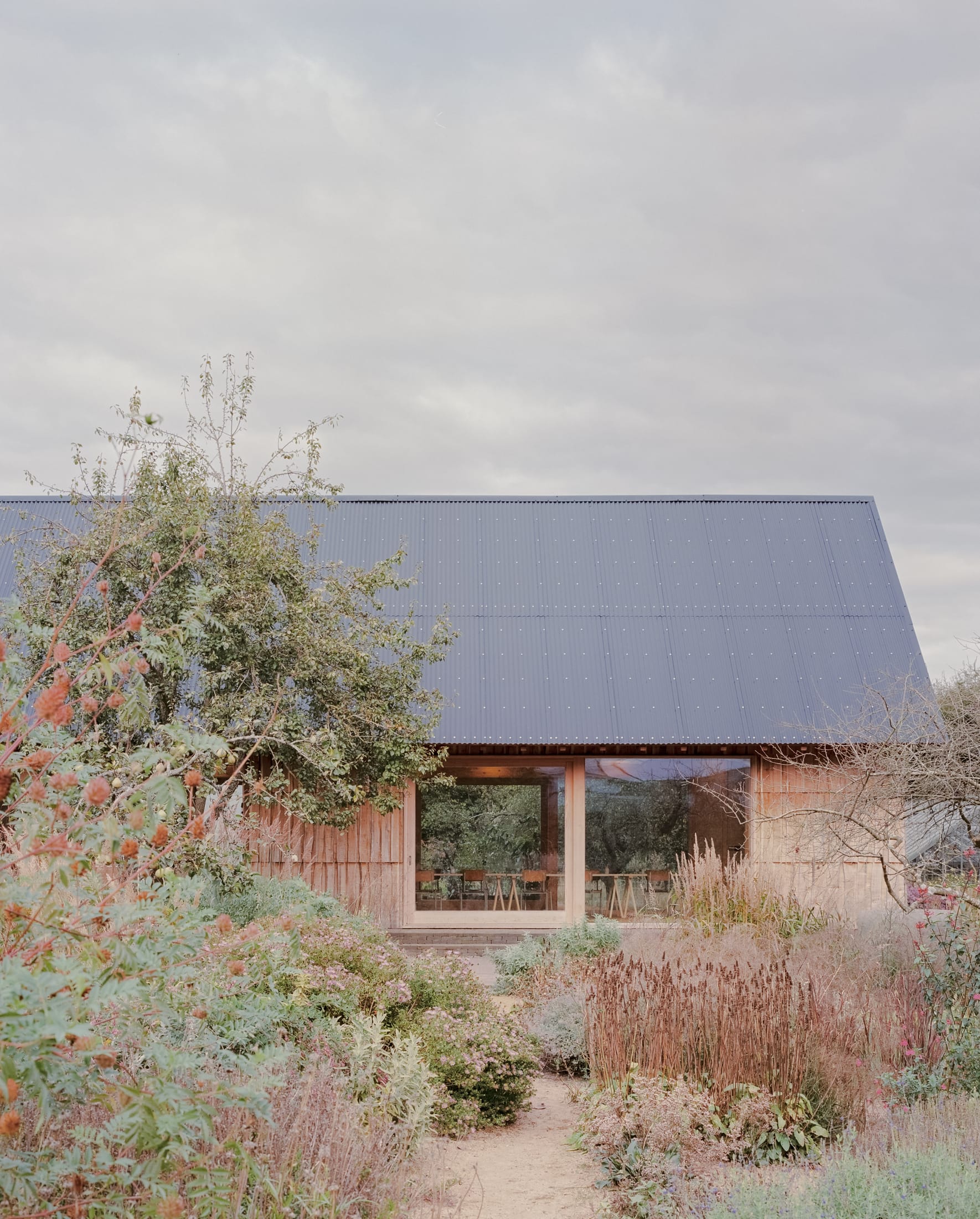 果园丨英国丨Okra-33