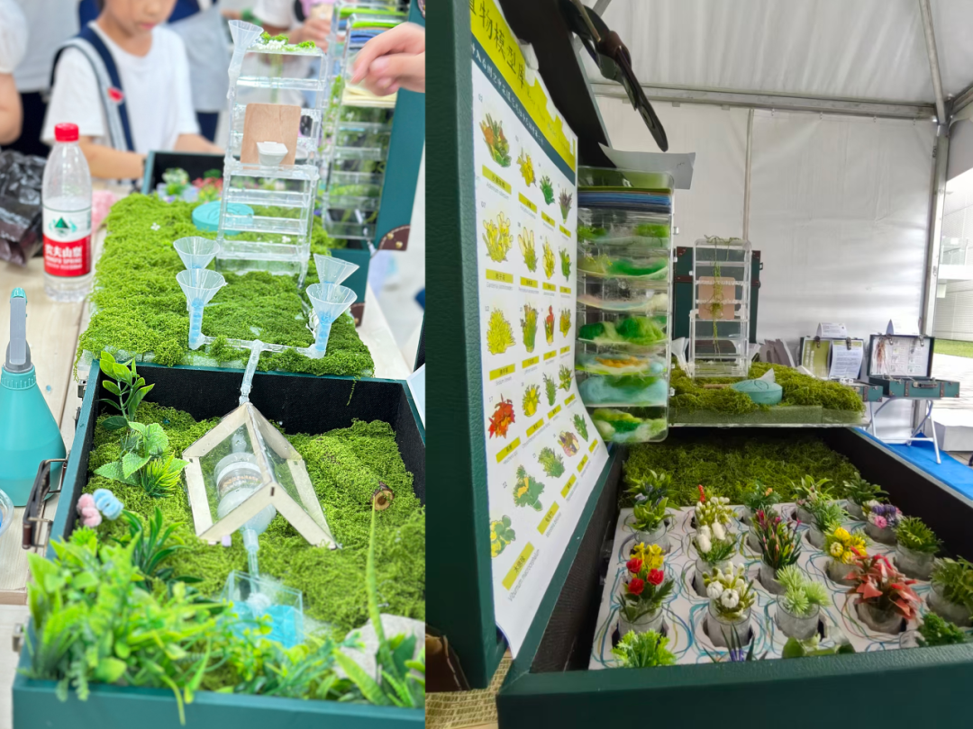 即将开幕！2025北京国际设计周“行动设计”手提箱博物馆流动展览暨沙龙-76