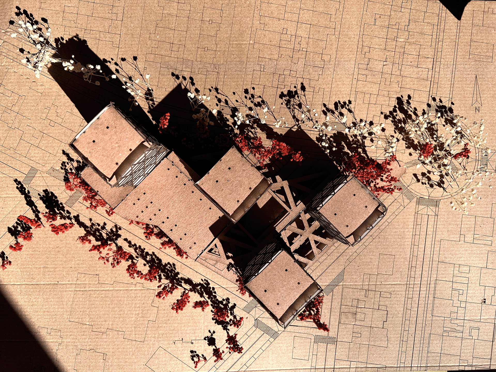 ARQT3101: Teatro experimental Rionegro TEX-R-11