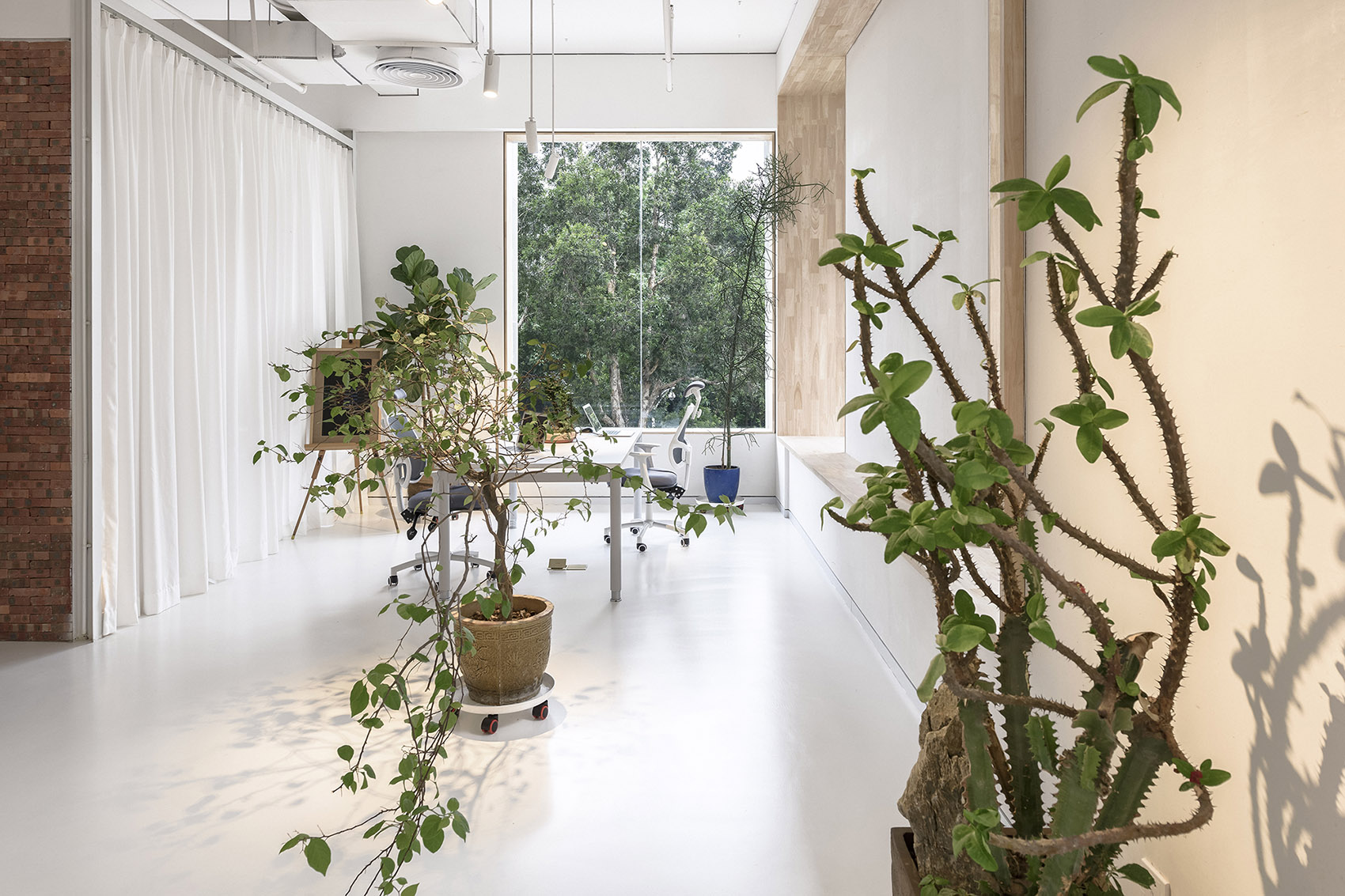 “白”设计，深圳 / 绽放设计-19