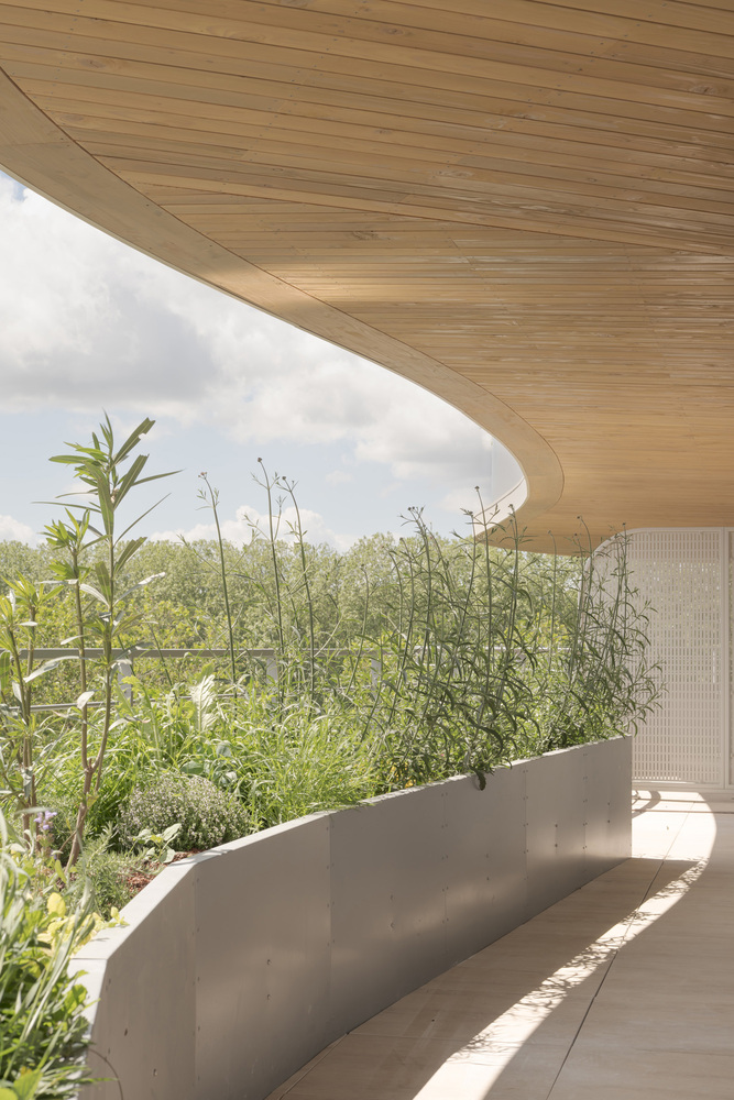 
将绿色和自然光融入集托儿所老年公寓一体的住宅楼设计 - 戈者设计 | 戈者设计-12