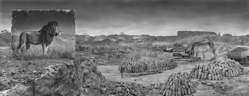 《尘土继承》——香港 Blue Lotus 画廊 Nick Brandt 摄影展-30