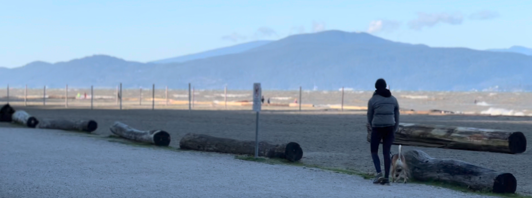 与自然的亲密接触丨加拿大温哥华丨温哥华风合睦晨-10