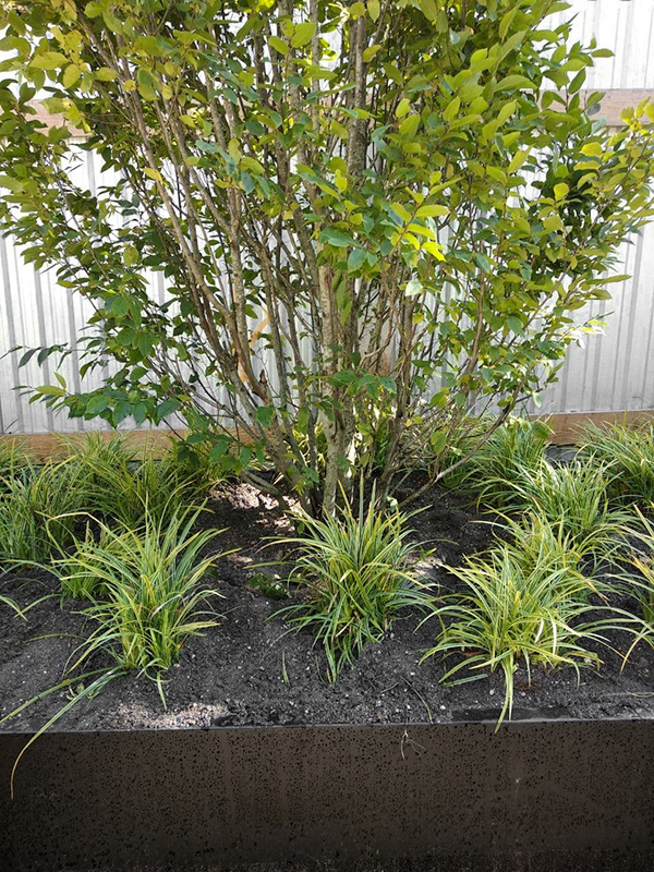 店铺景观设计-23