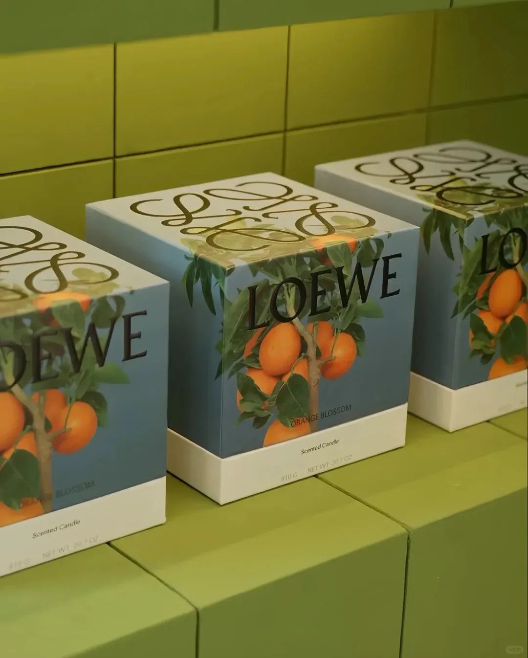 LOEWE 马德里快闪店丨西班牙马德里-11