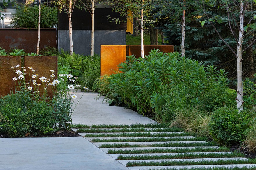 Charred Wood–Clad House in the Toronto Suburbs by Superkül-6