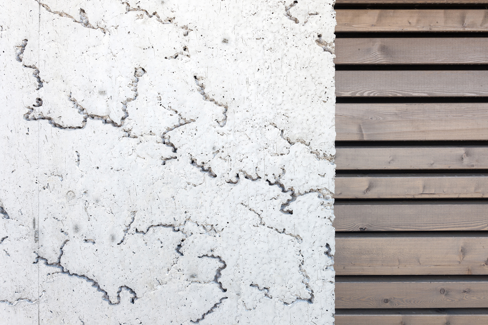 Farmhouse 2.0 | arcs architekten-24