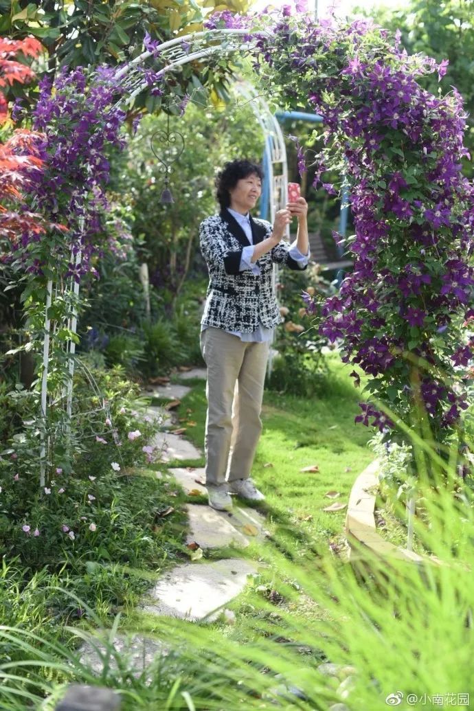 78岁爷爷改造荒废院子,为孙女建起一座花园-154