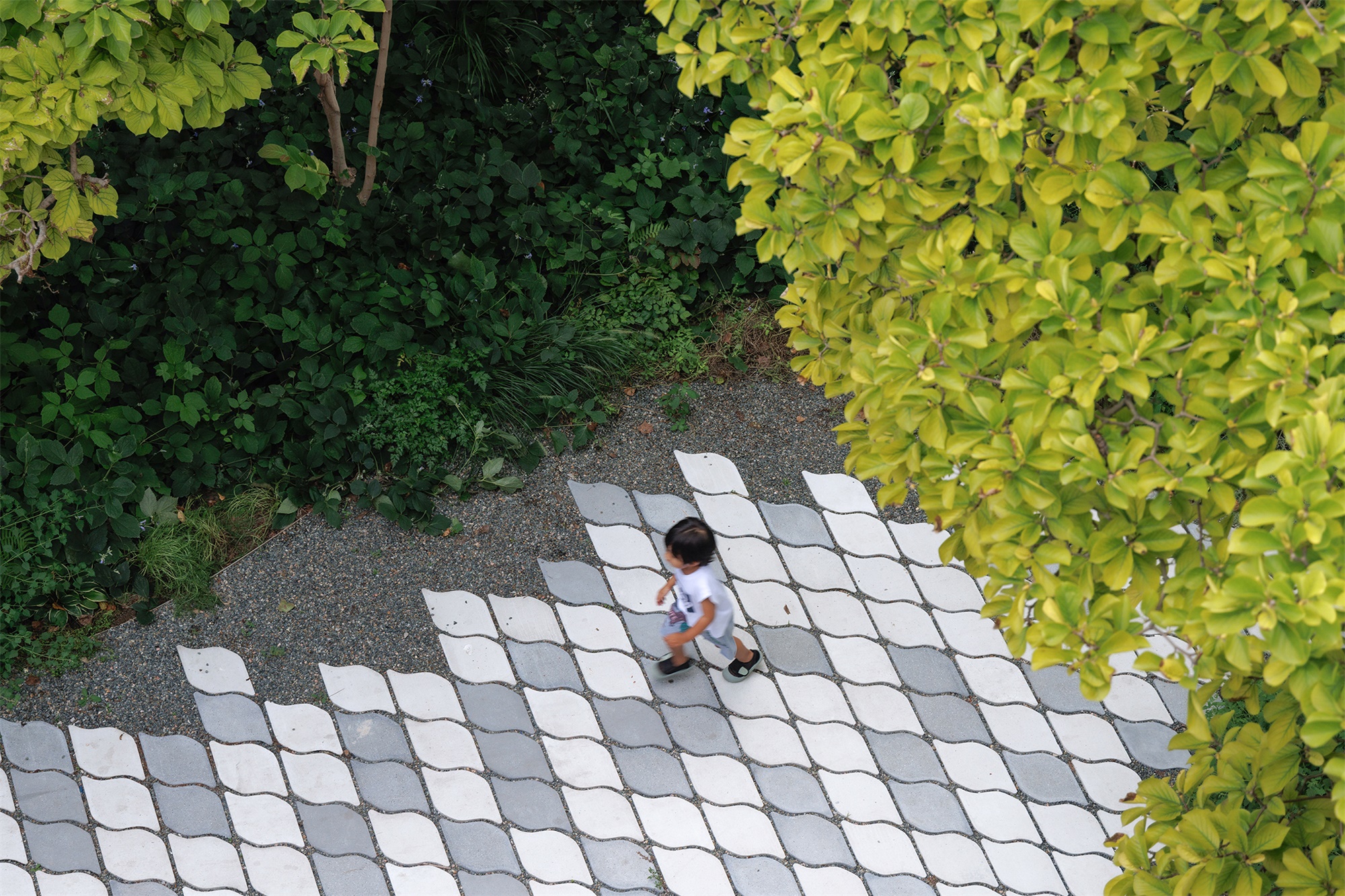 北京市三里屯西五街5号院花园丨中国北京丨OneScape一域景观事务所-3