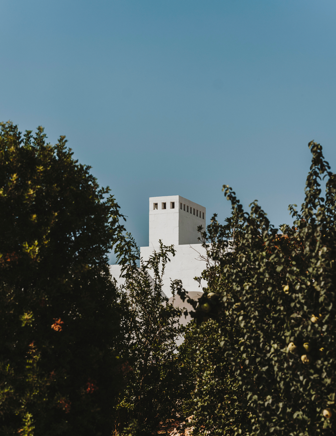 索莱托之家丨意大利丨Studio Andrew Trotter-17