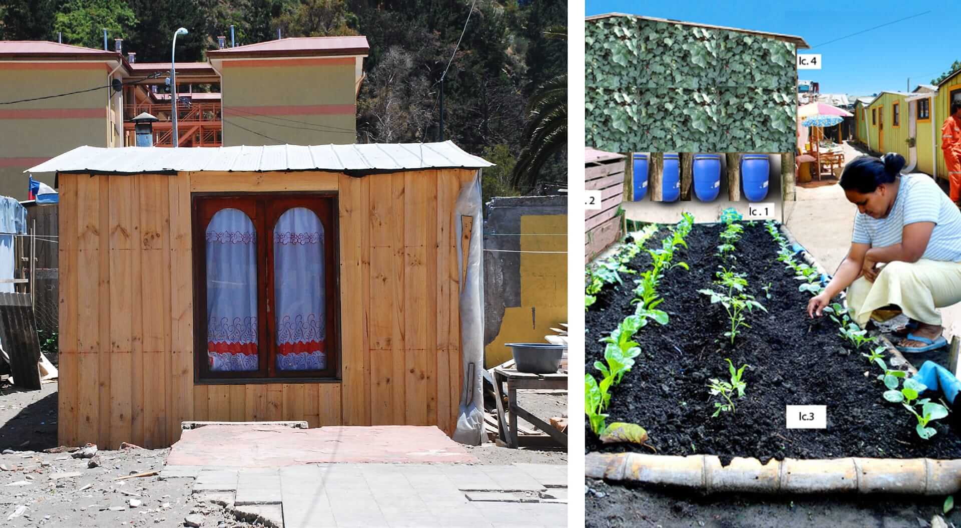 丨智利丨Zoohaus-18