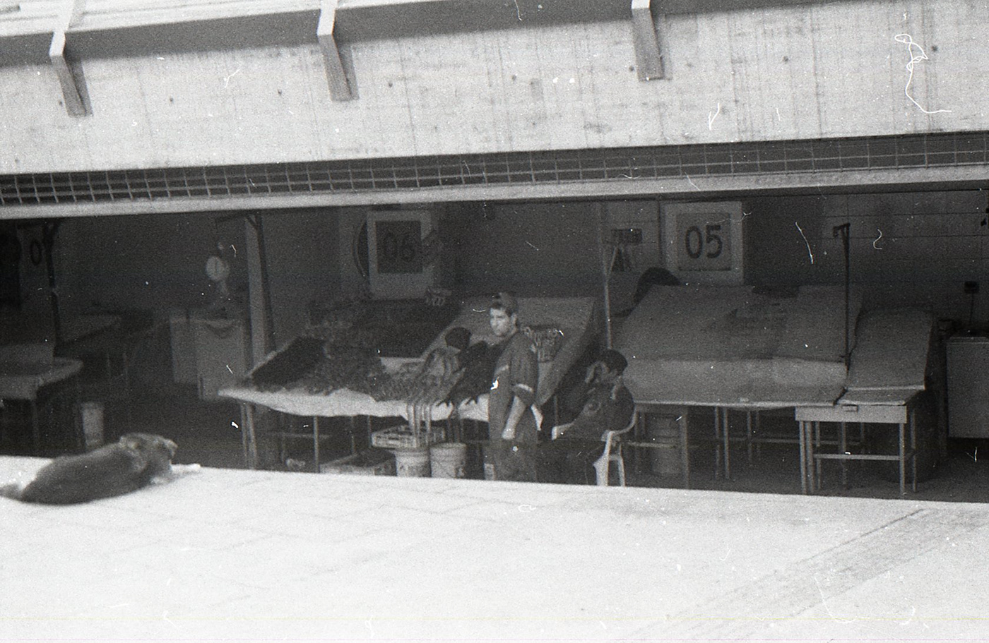 黑白视界中的 Valpoanalógico-4