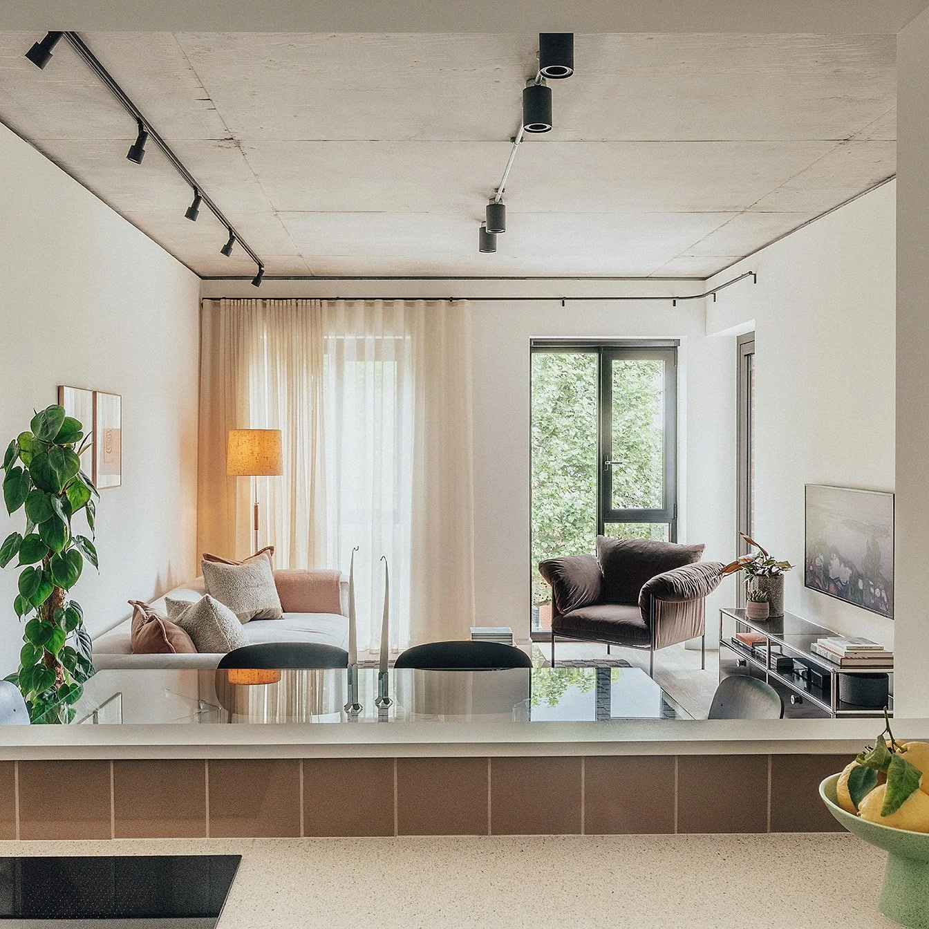 Kane — STUDIO CLEMENT-14