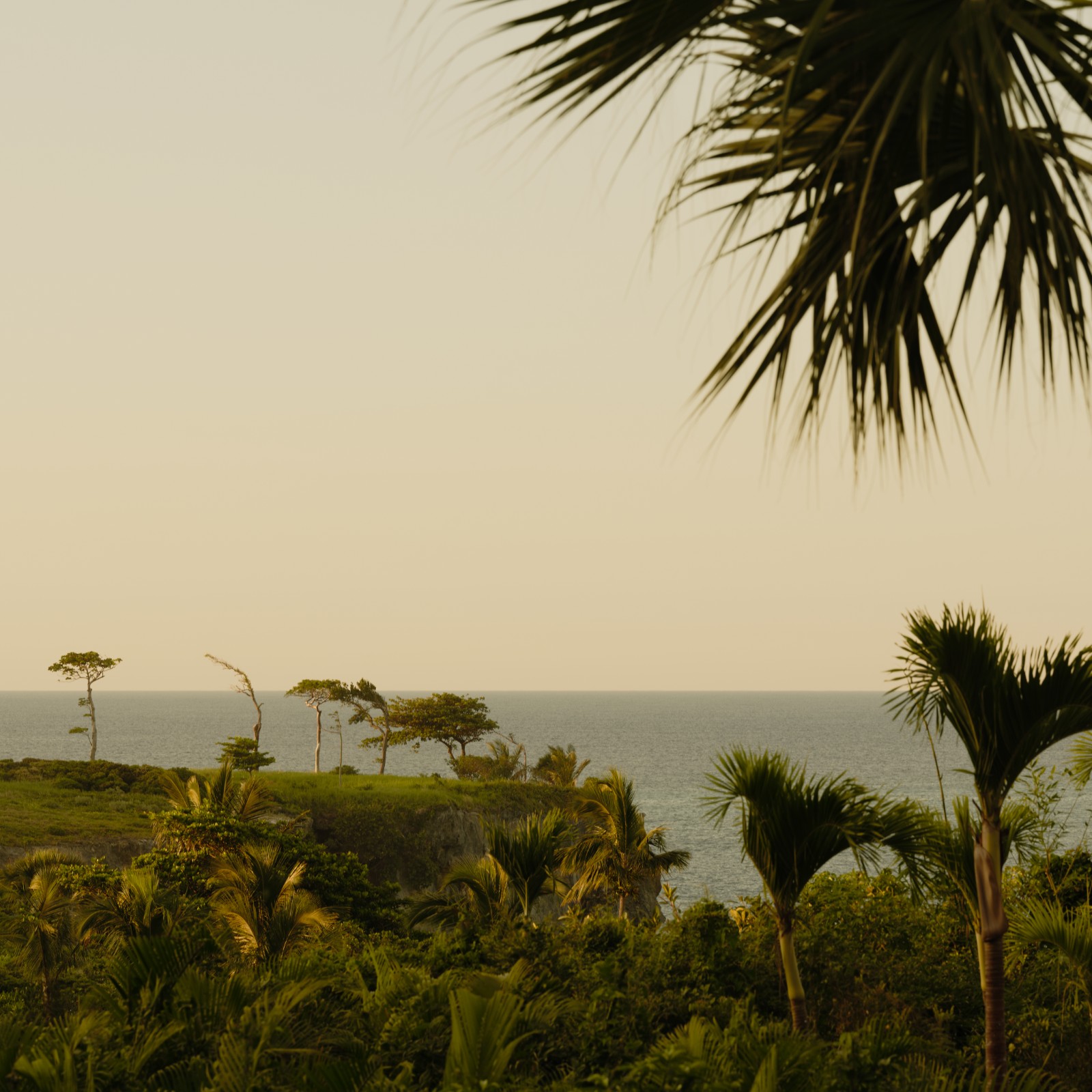 安缦茵澜 AMANERA丨John Hear-6