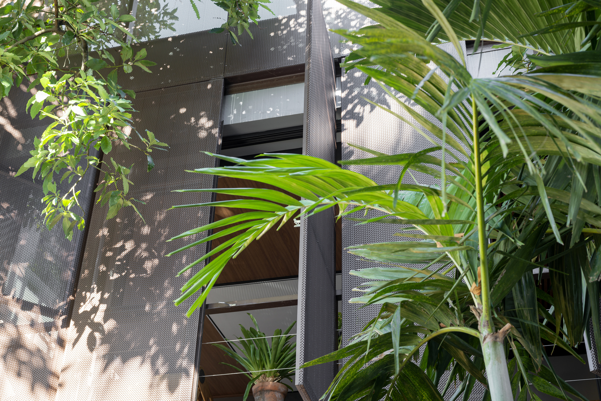 路易斯·德尔菲诺之家丨巴西丨Pimont Arquitetura-29