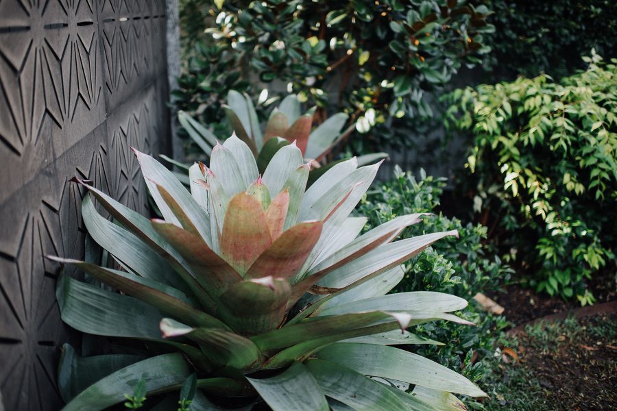赫斯基森项目  GNK景观设计公司（这里GNK为特定名称，若无更多背景难以更精准翻译，推测一般为专业领域的公司名称，Landscapes可理解为景观设计公司等相关含义） -15
