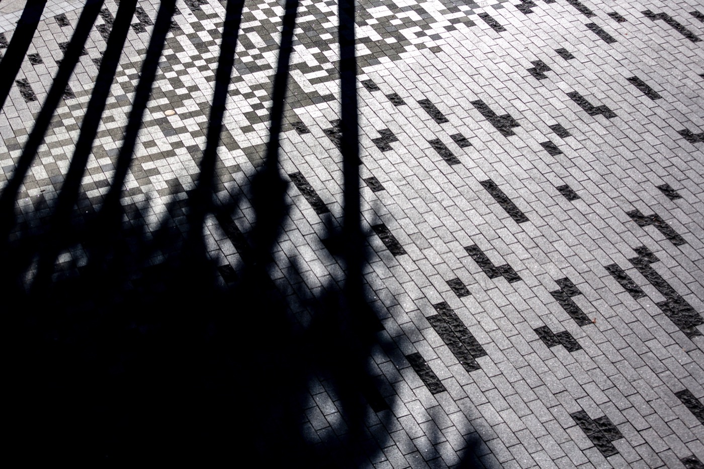 悉尼 Campbells Cove 公共空间重塑-12