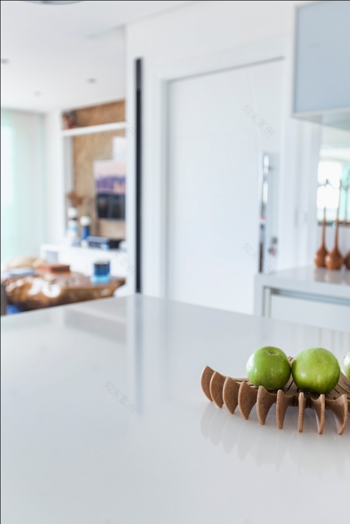 巴西中部顶层公寓,城市景观尽收眼底-32