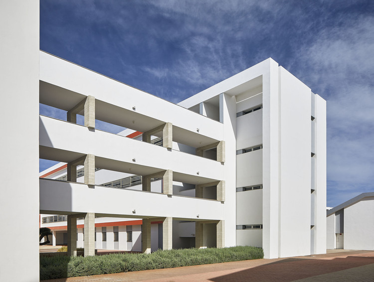 知识之墙中学-5