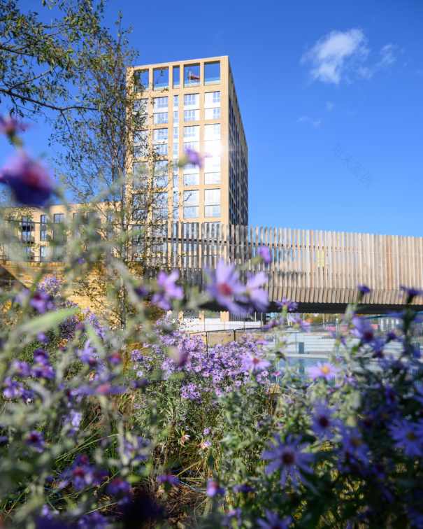 丨United KingdomLondon-45