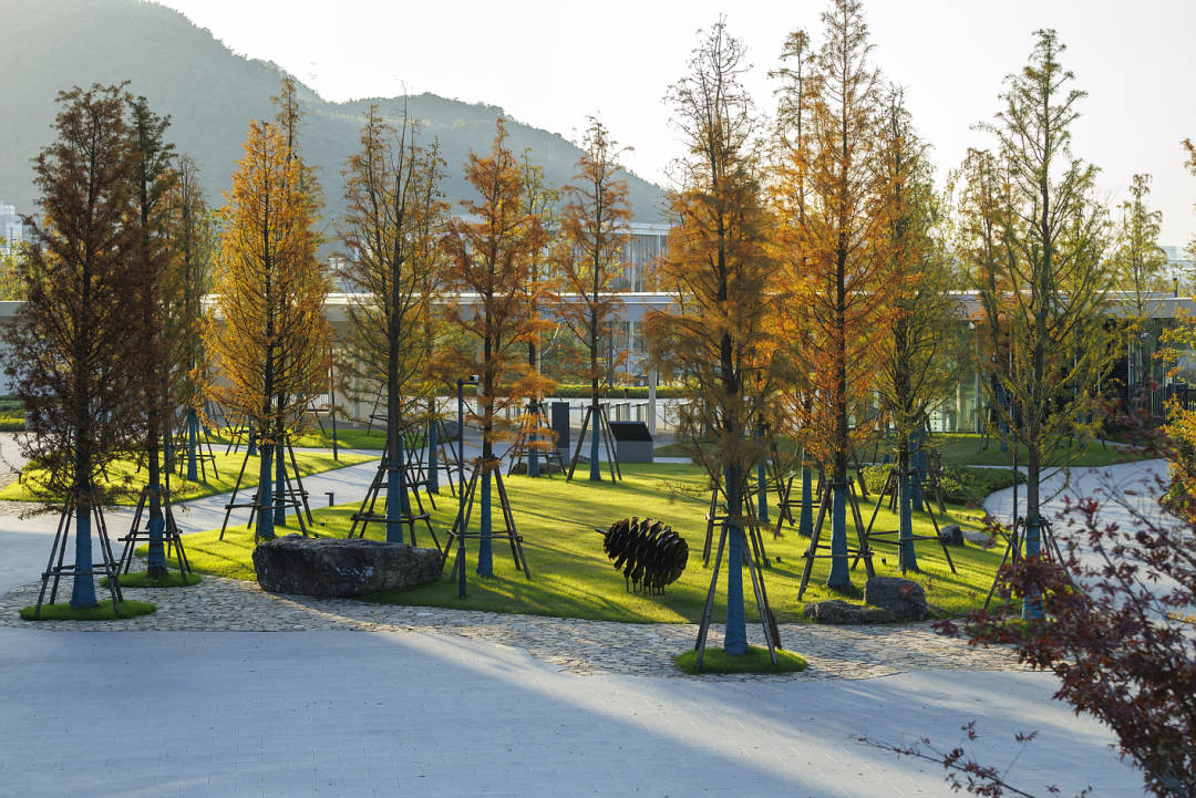 阿里巴巴南湖未来科学园丨中国杭州丨阿普贝思UP+S-38