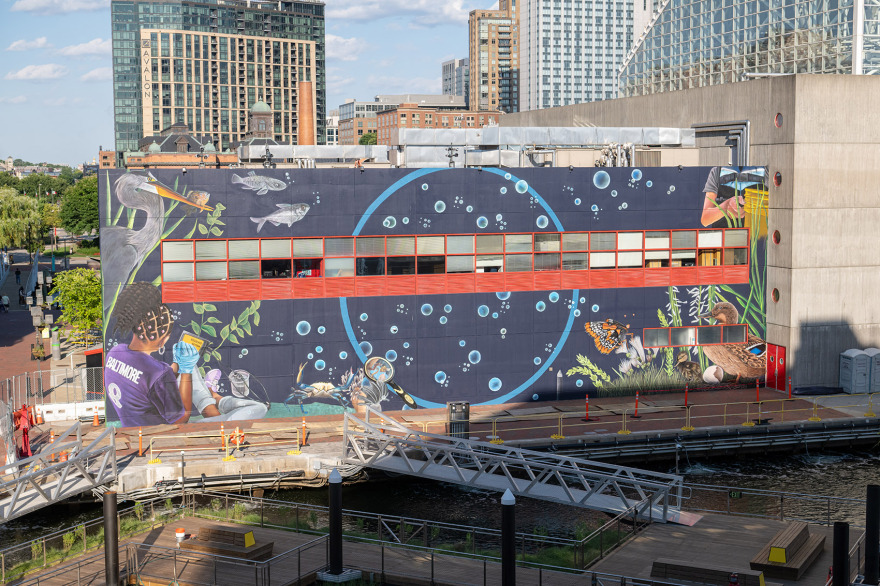 国立水族馆港湾湿地丨美国巴尔的摩丨Ayers Saint Gross 事务所-33