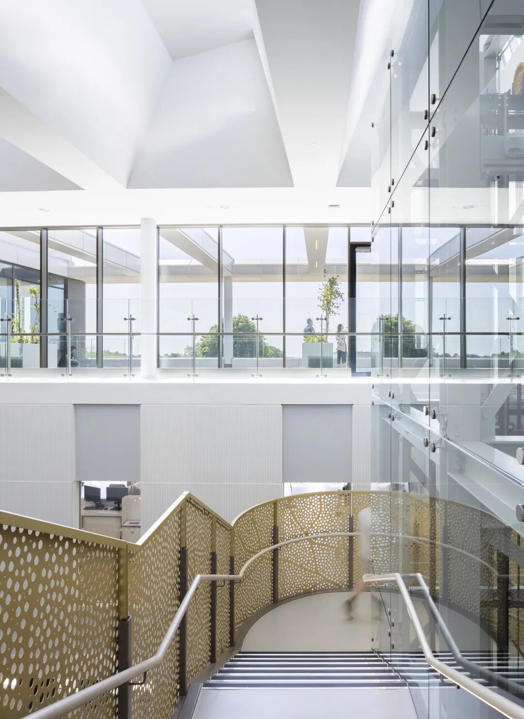 英国橡树癌症中心丨BDP百殿建筑设计-19