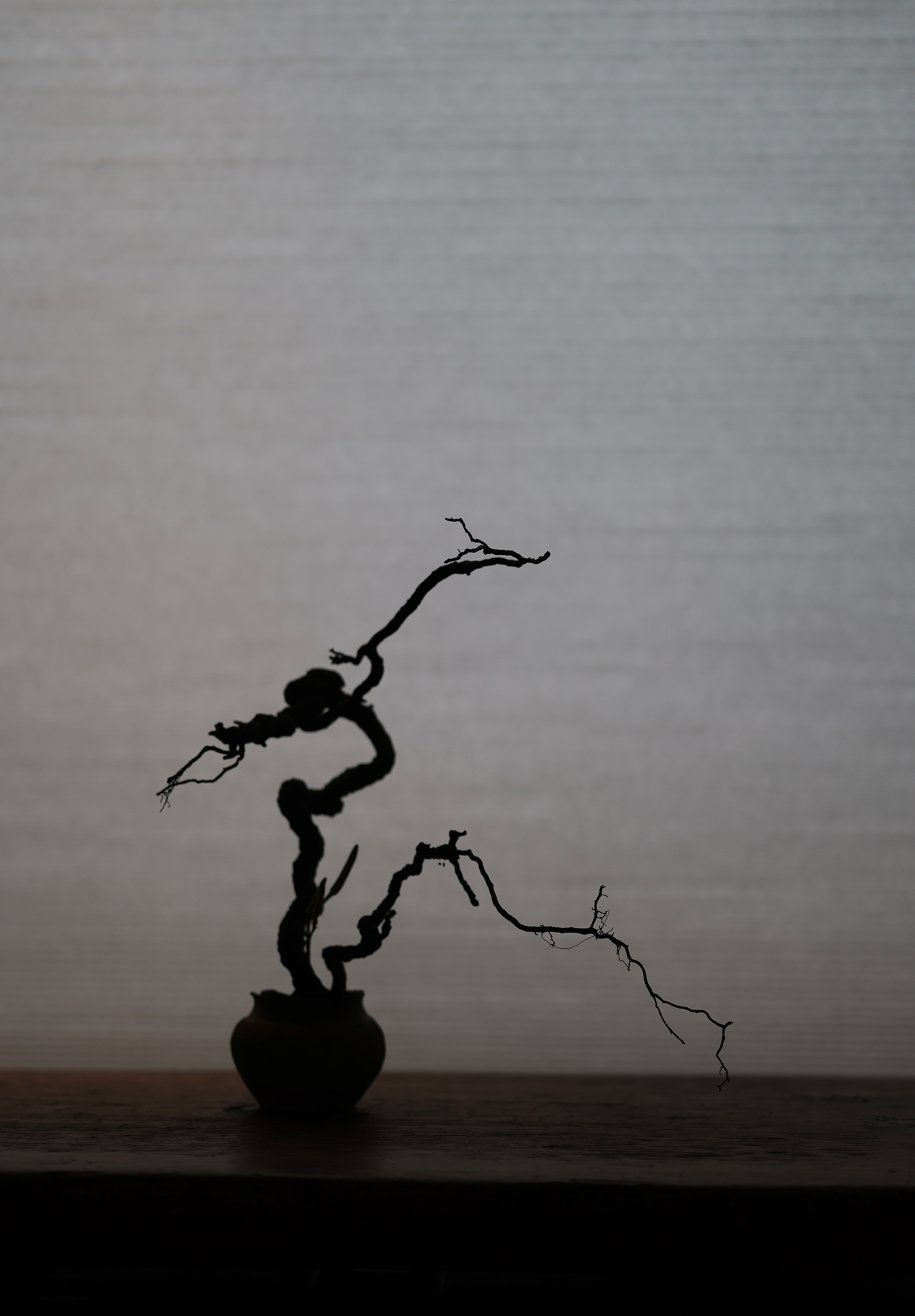 民藝廊丨中国杭州丨陈飞波-6