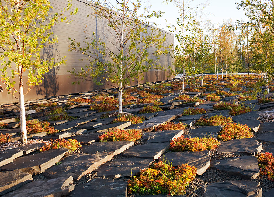 美国 Warroad 陆地港口入境景观设计-6