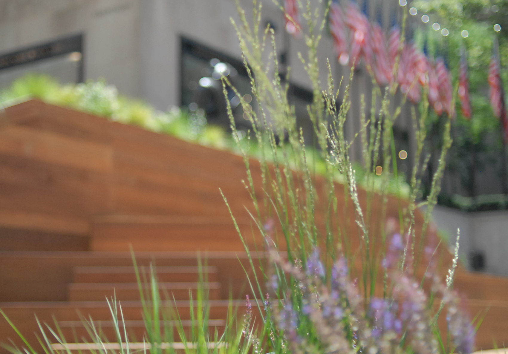 Rockefeller Center Summer Gardens | Julia Watson LLC-14