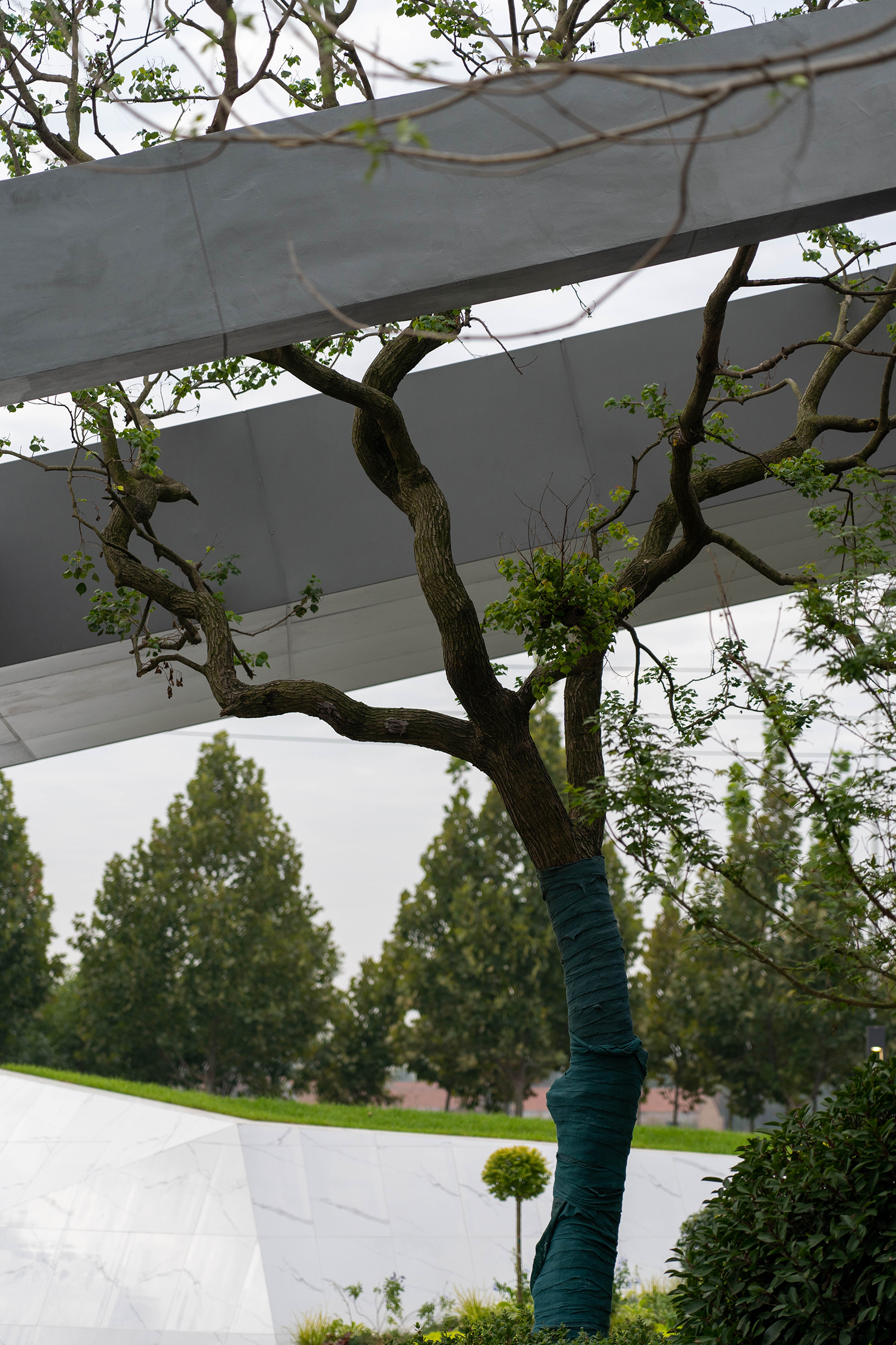 乐陵·天泰城（示范区）-46