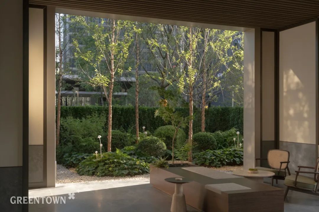 “心林物语”新作，送你一园夏梦-85