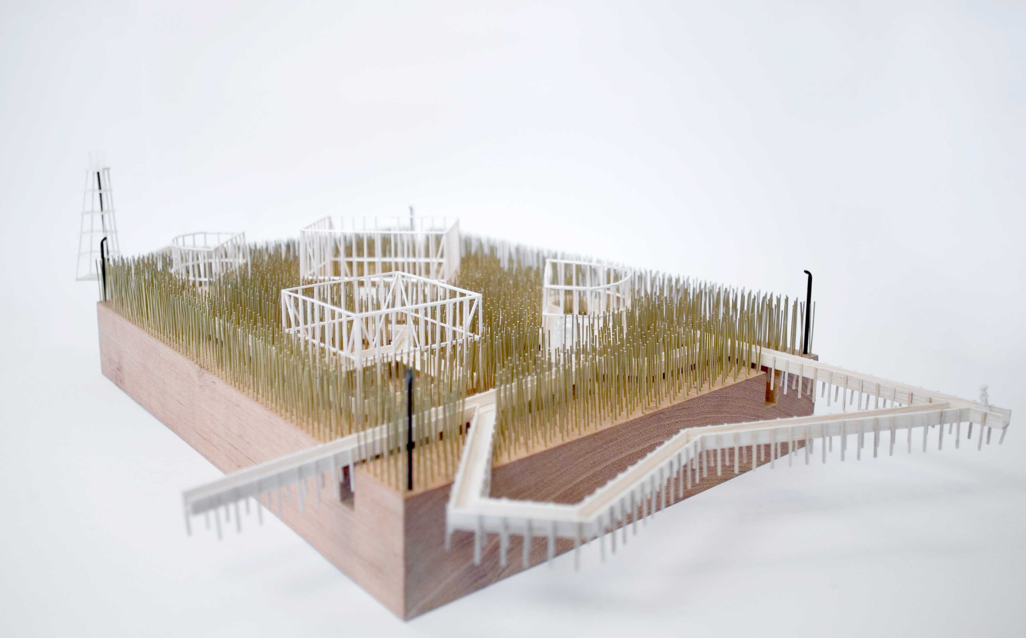 岔路花园（The Garden of Forking Paths）-28