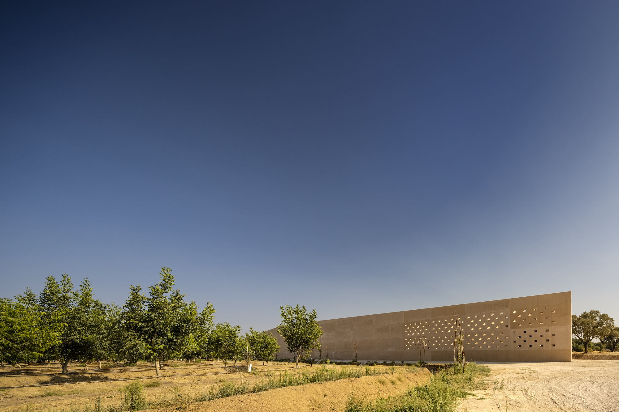 Nogam 核桃工厂丨葡萄牙丨ARC Arquitectos-9