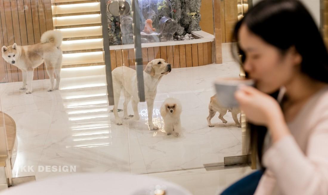 北欧风餐厅设计，温馨简约，金色点缀，打造现代轻奢空间-18