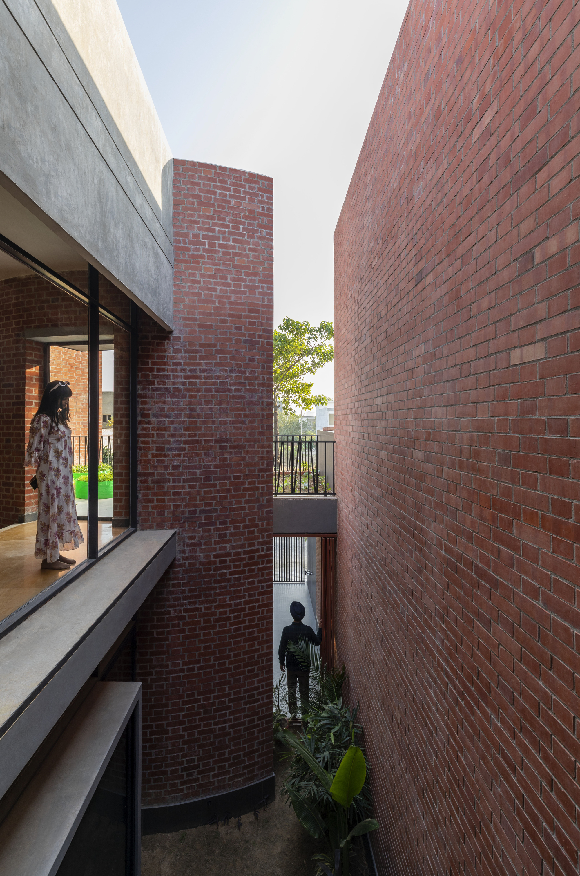 多年生植物房丨印度丨Sifti Design Studio-35