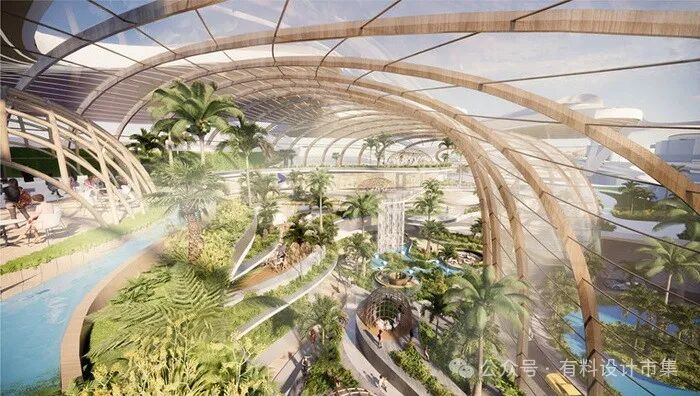 莲叶生辉，绽放层层美丽世界-24